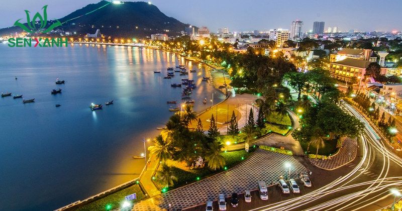 15+ bãi biển tổ chức team building nổi tiếng nhất Vũng Tàu là lựa chọn quen thuộc cho các chương trình team building 1–2 ngày