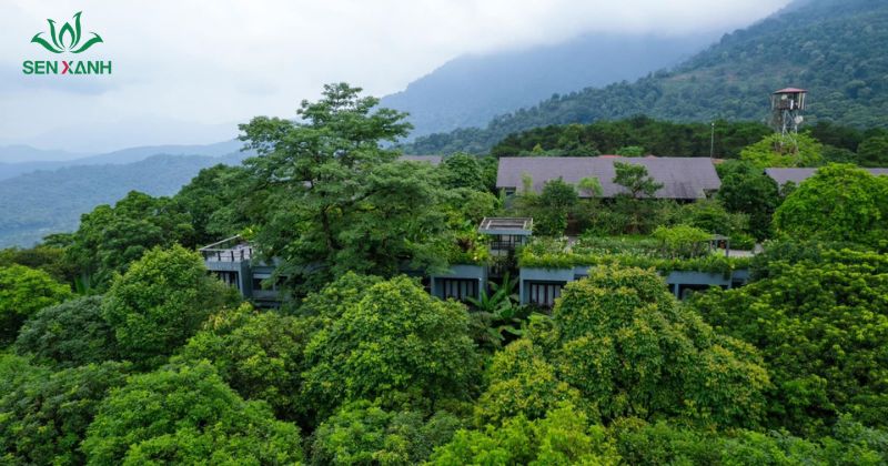 Amour Resort Ba Vi là khu nghỉ dưỡng nằm ở độ cao khoảng 400m trong khu vực Vườn Quốc gia Ba Vì