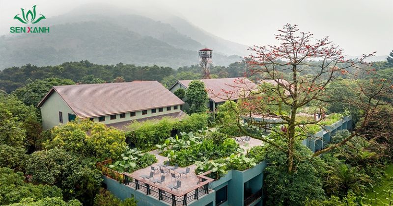 Khu nghỉ dưỡng được x&acirc;y hiện đại