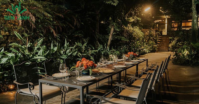 Amour Resort Ba Vi c&ograve;n mang đến nhiều trải nghiệm đa dạng