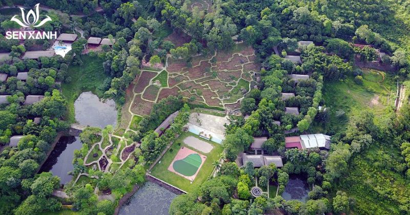 Paragon hill hấp dẫn với quang cảnh đẹp