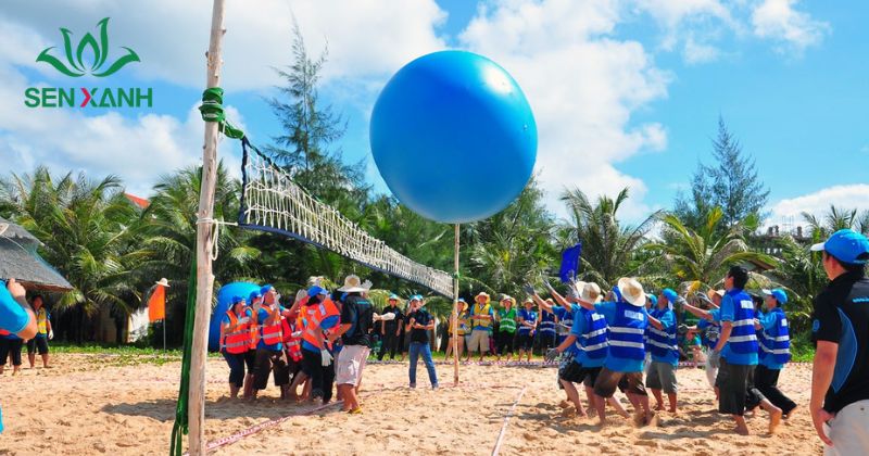 Tr&ograve; chơi n&eacute;m b&oacute;ng