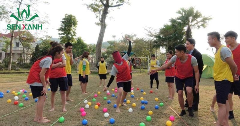 Tổ chức tr&ograve; chơi tập thể