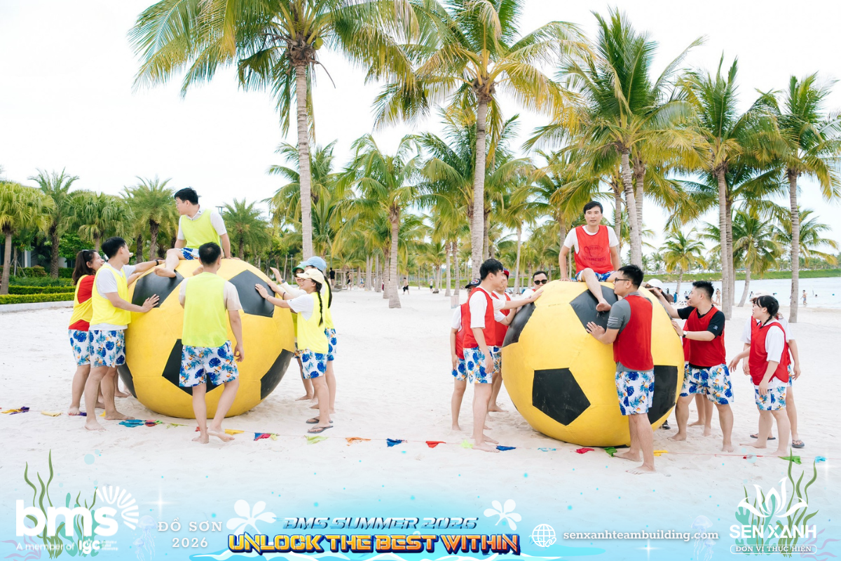 Hoạt động Team Building tại Dream Dragon