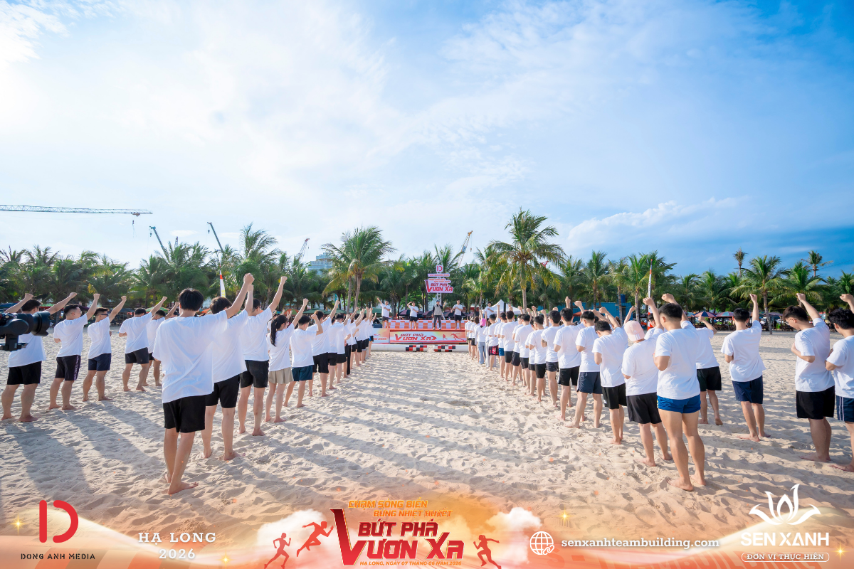 Chương trình teambuilding Bãi Cháy Chương trình teambuilding Bãi Cháy